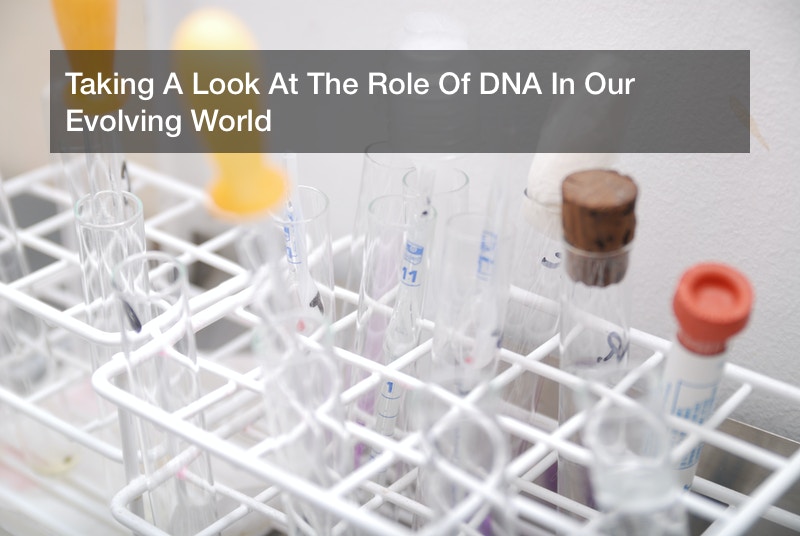 Taking A Look At The Role Of DNA In Our Evolving World