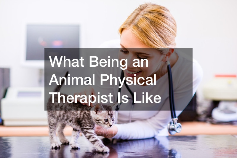 what-is-a-pta-physical-therapy-assistant-school-physical-therapy