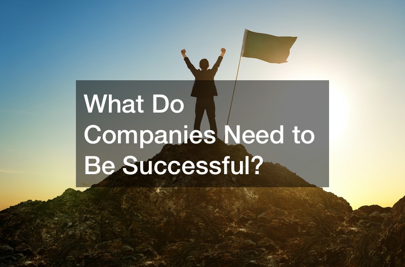 What Do Companies Need to Be Successful?