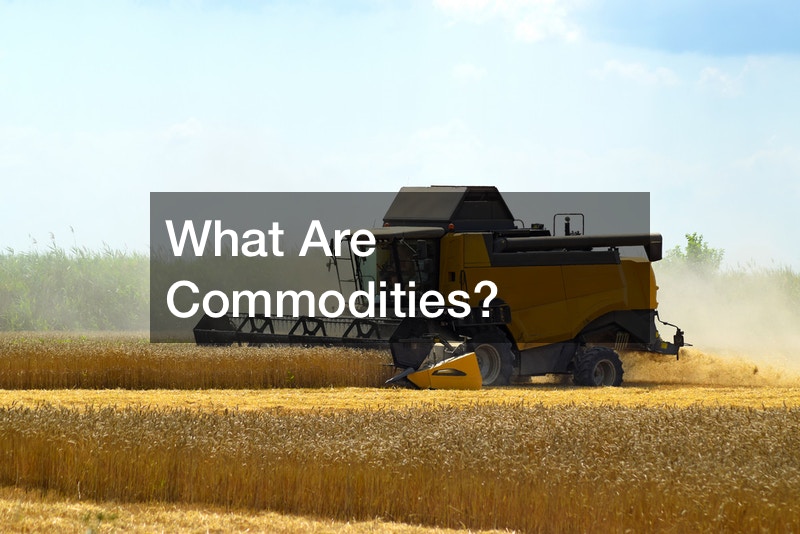 What Are Commodities?